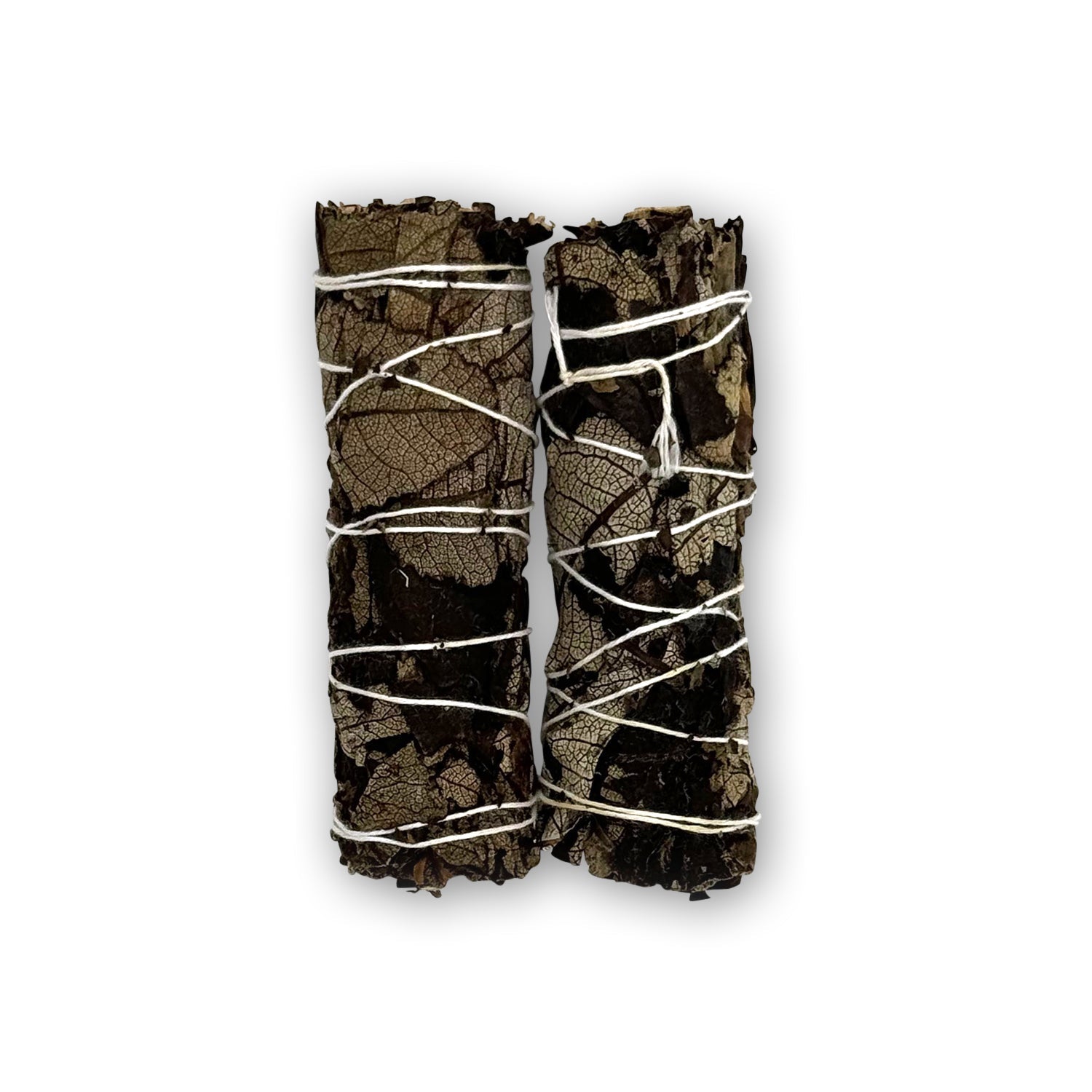 Black Sage / Salvia Negra
