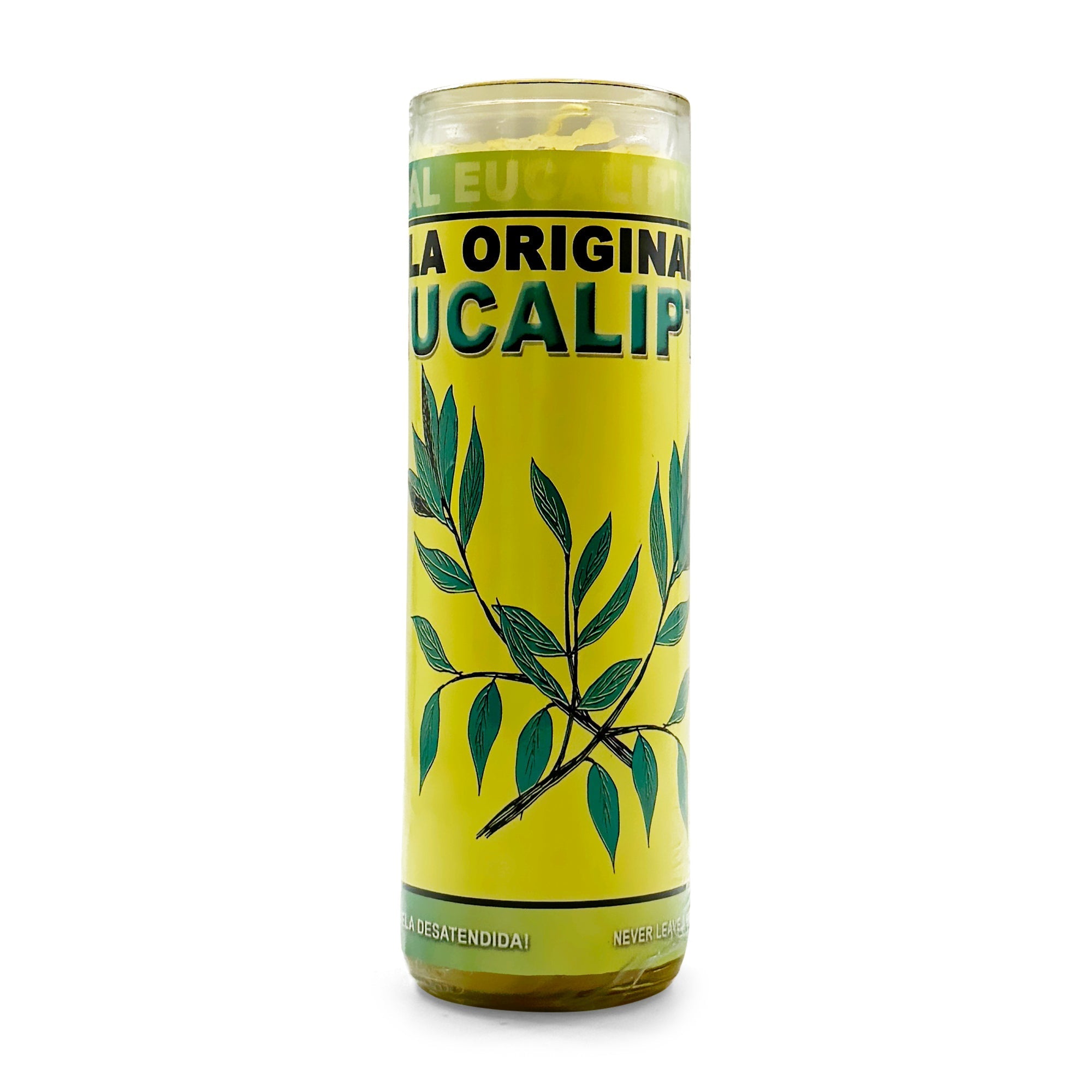 Eucalyptus / Eucalipto