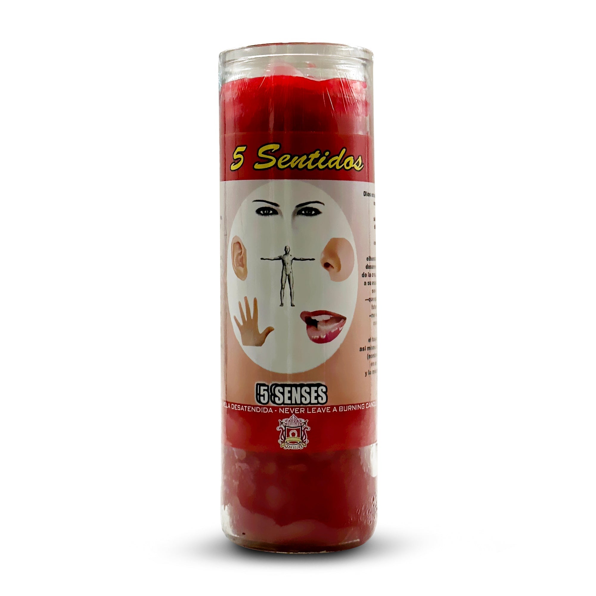 5 Senses / 5 Sentidos