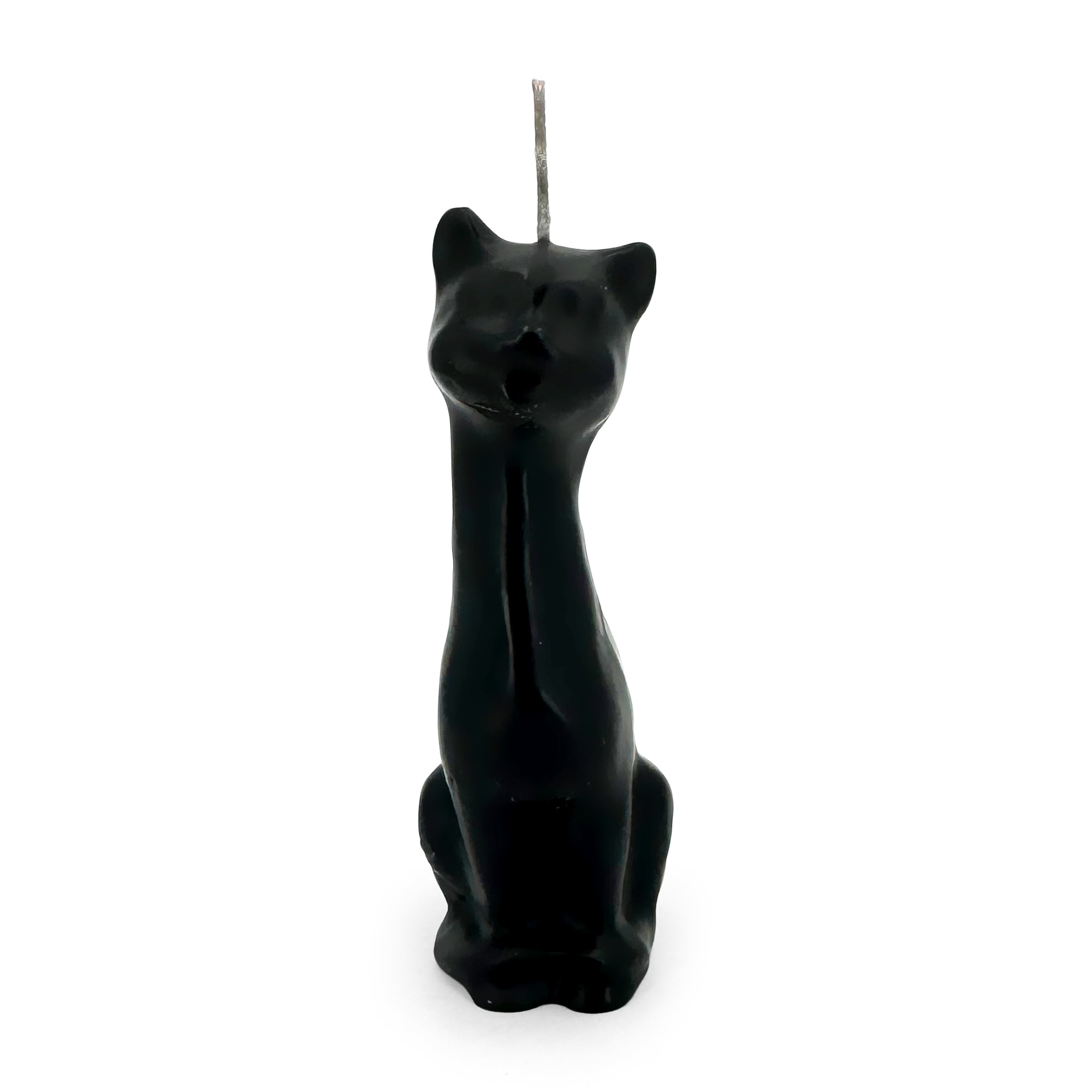 Cat / Gato