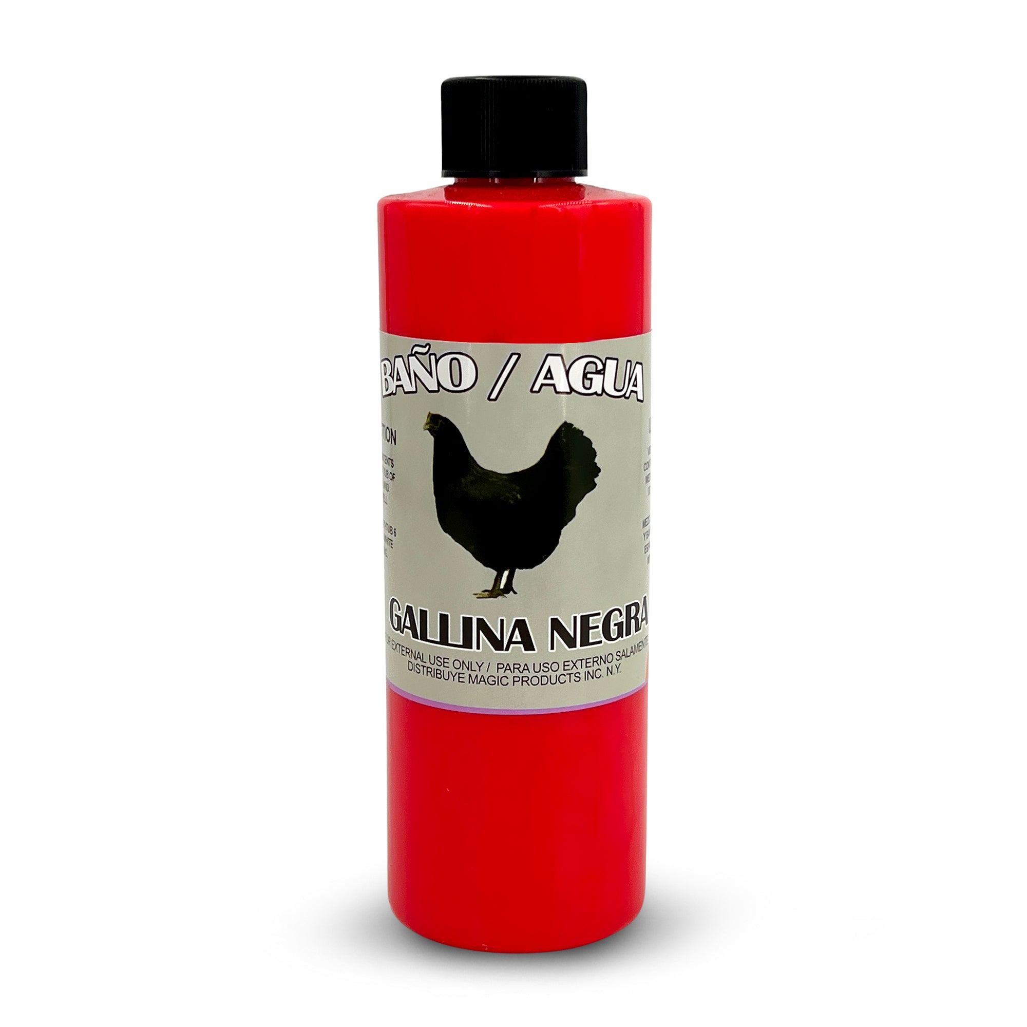 Black Chicken / Gallina Negra