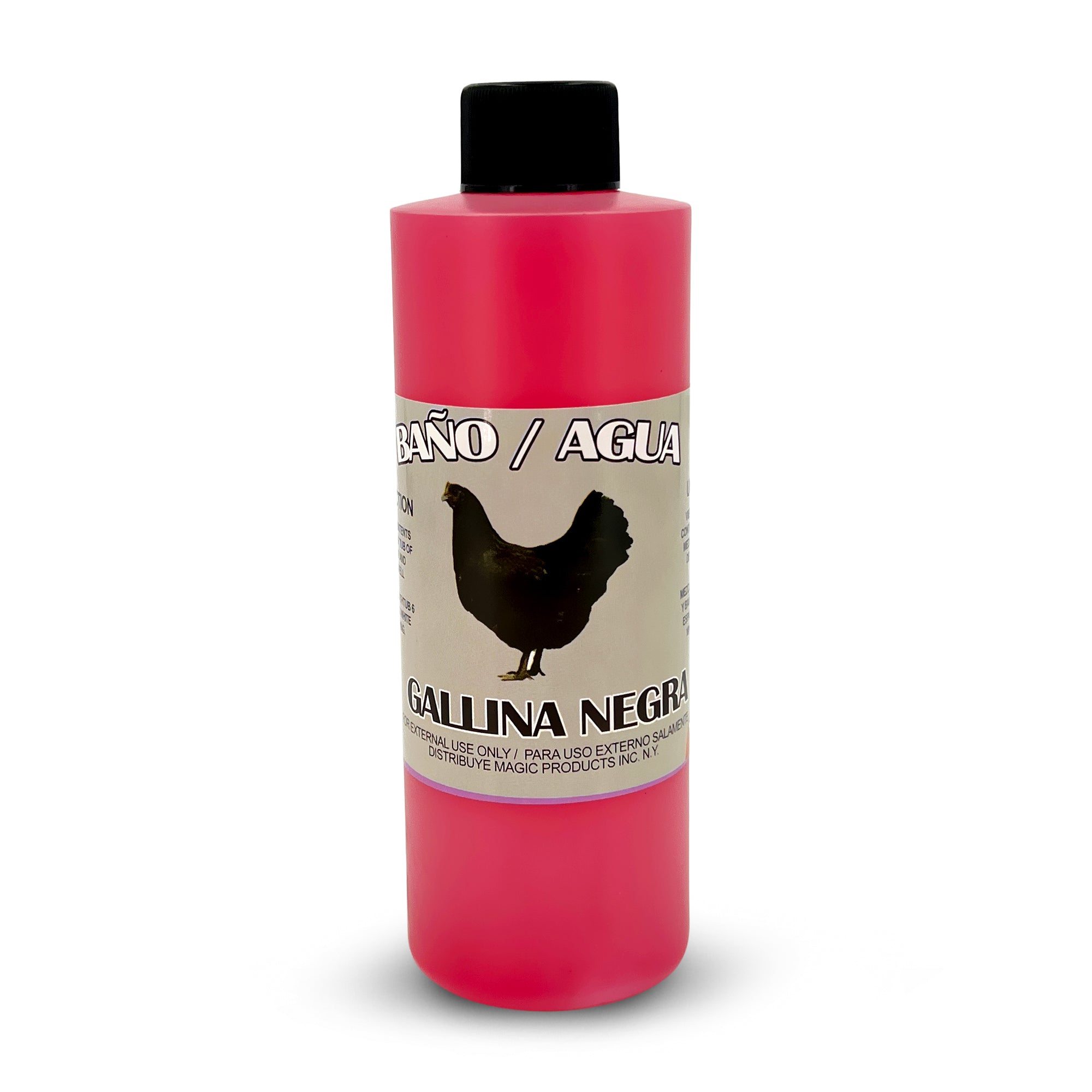 Black Chicken / Gallina Negra