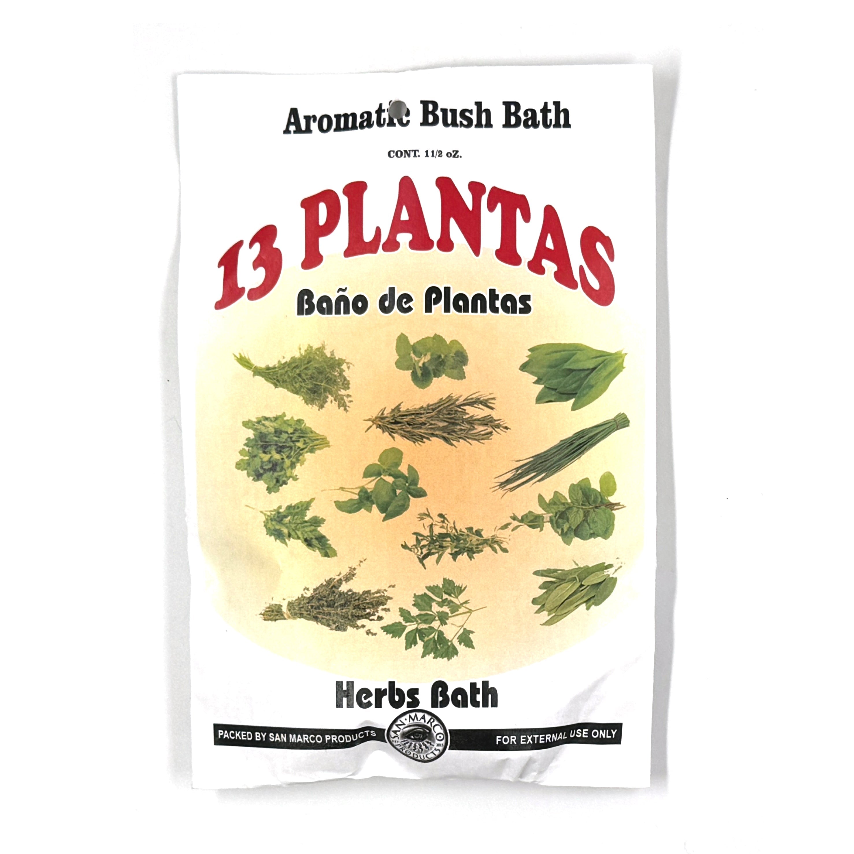 13 Plants / 13 Plantas