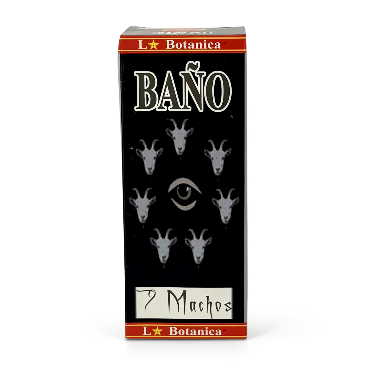 7 Men / 7 Machos