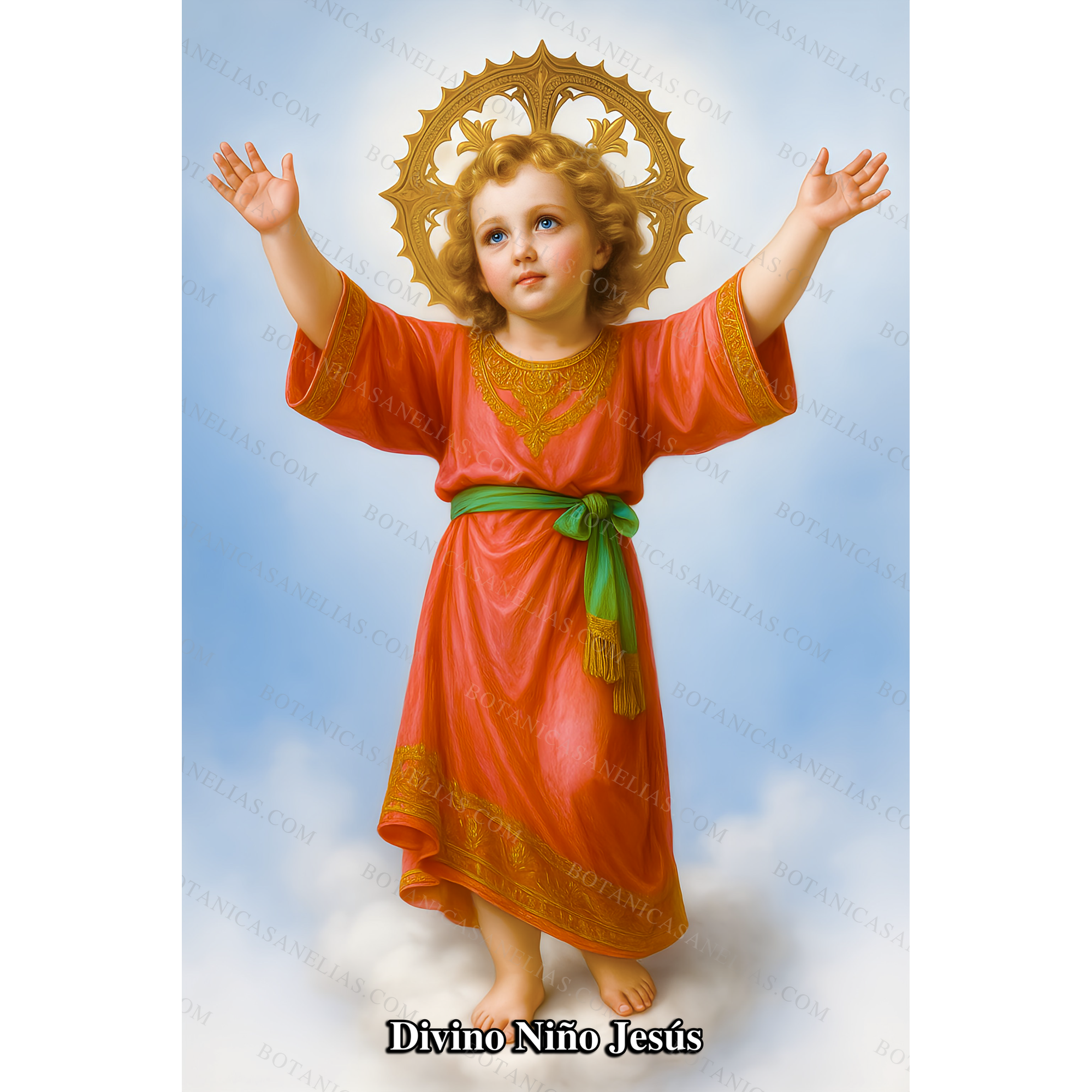 Divine Child Jesus Prayer Card