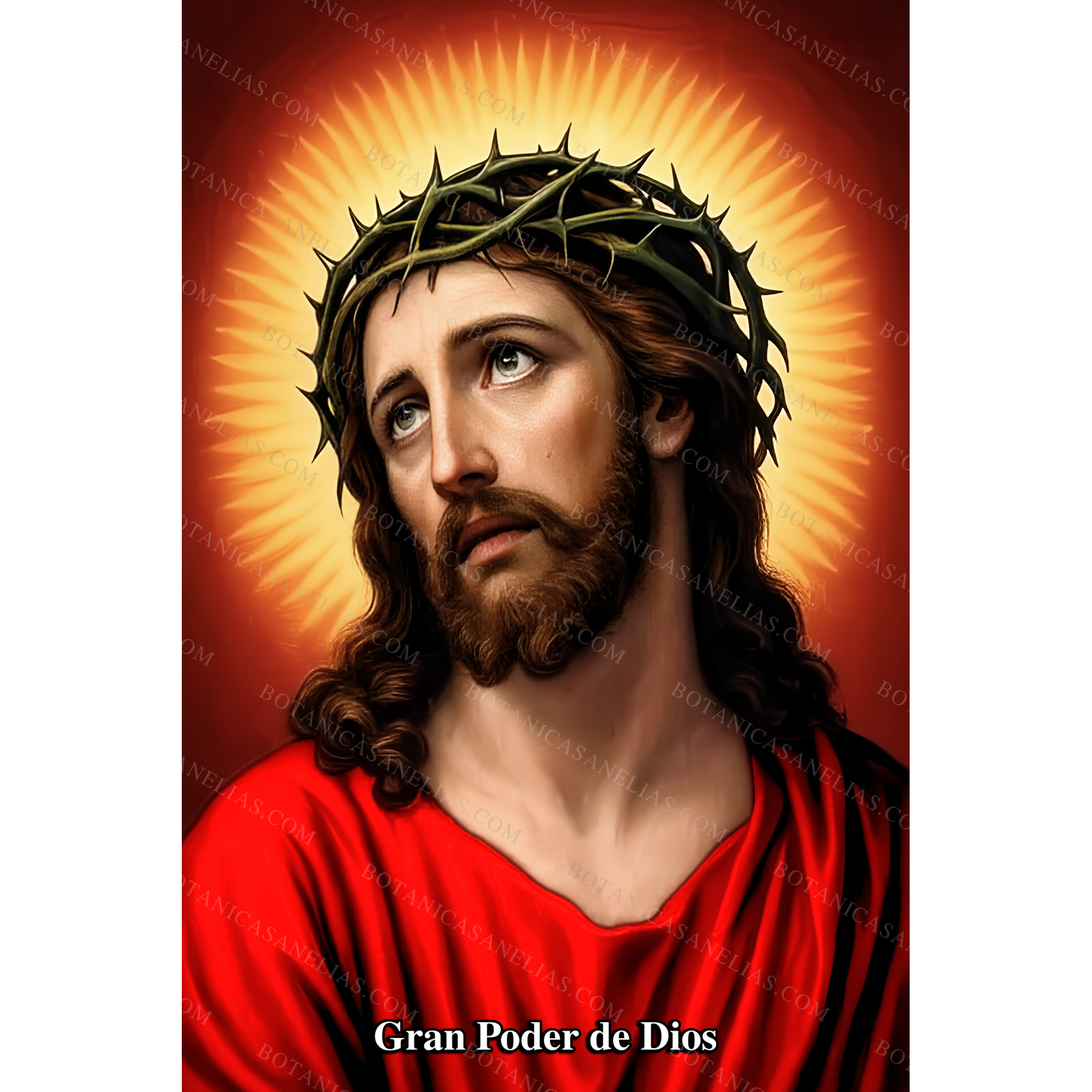 The Great Power of God Prayer Card