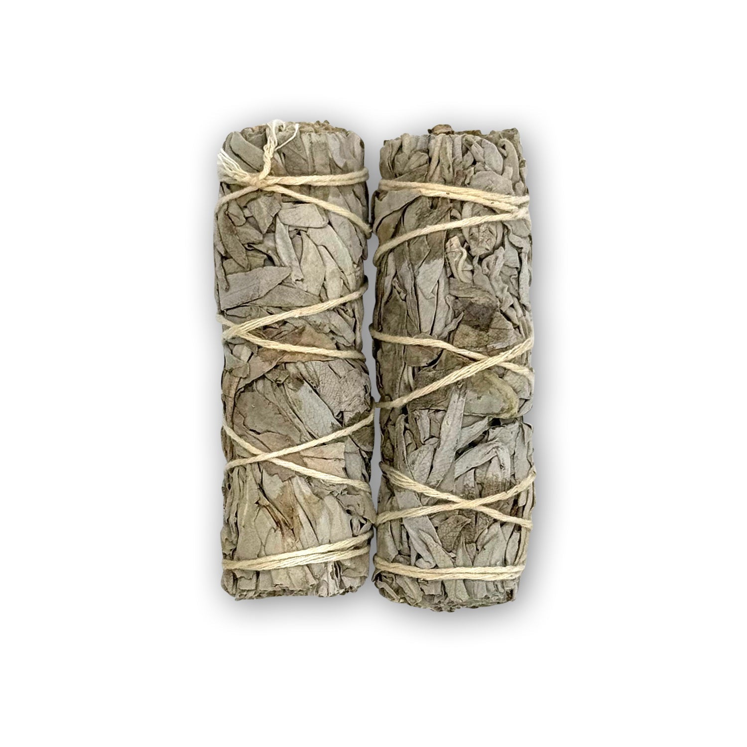 White Sage w/ Frank Oil / Salvia Blanca con Aceite de Incienso