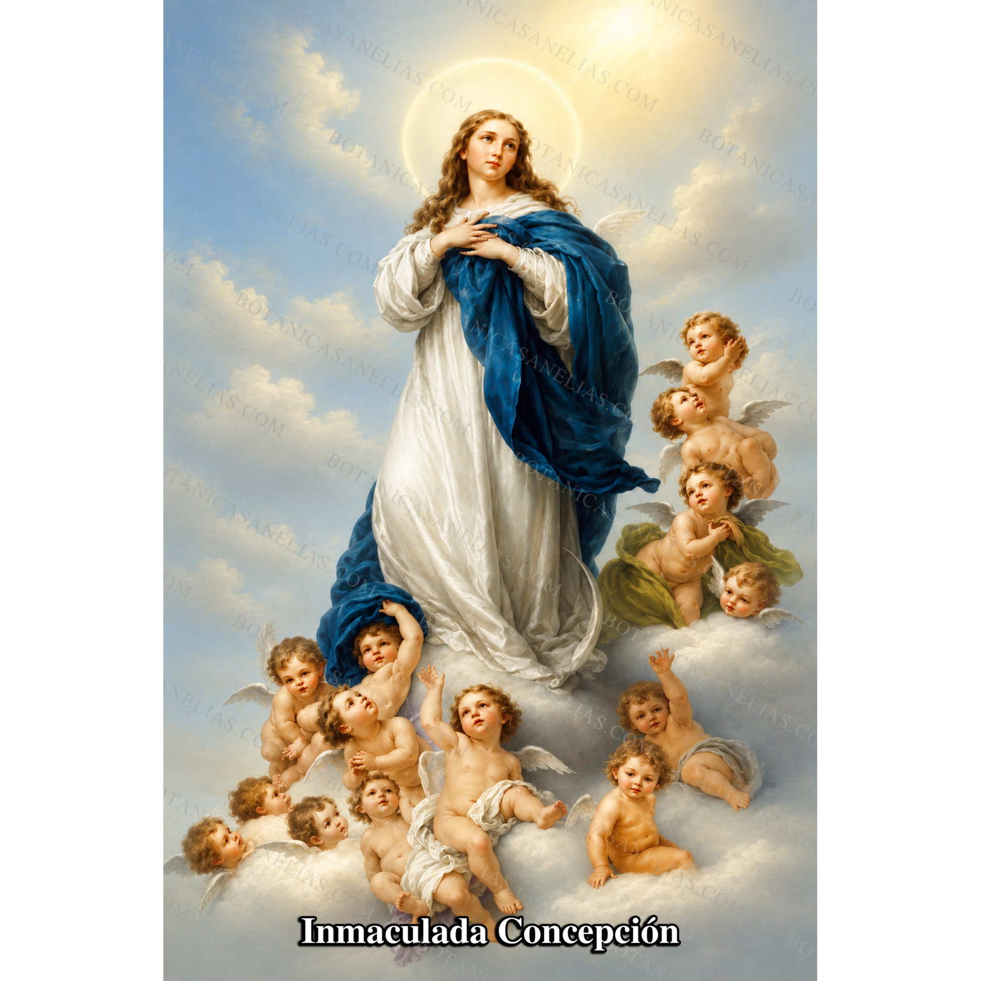 The Immaculate Conception Prayer Card