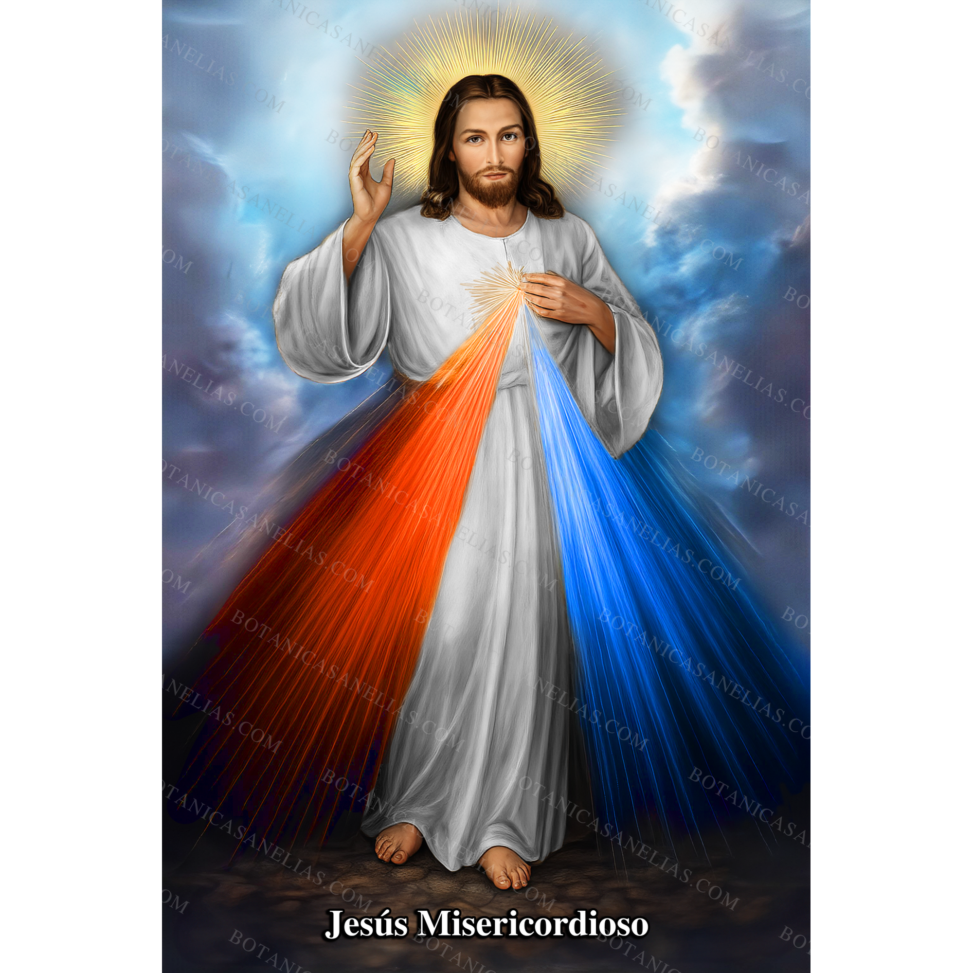 Merciful Jesus Prayer Card