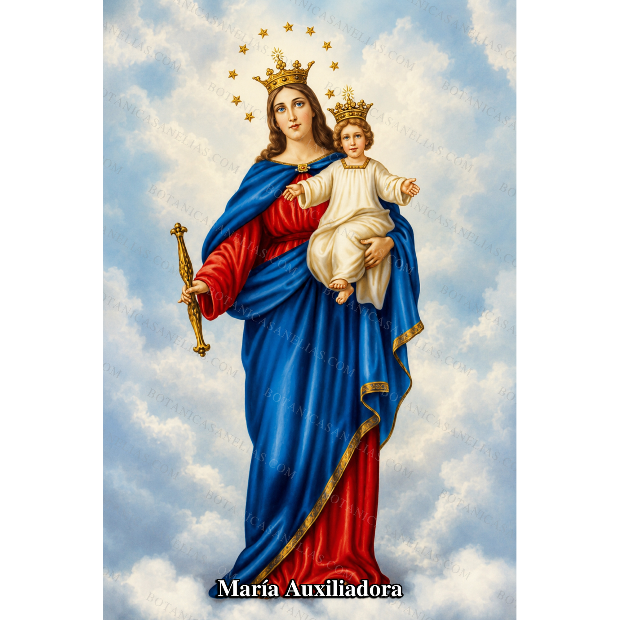 Mary Help of Christians Prayer Card