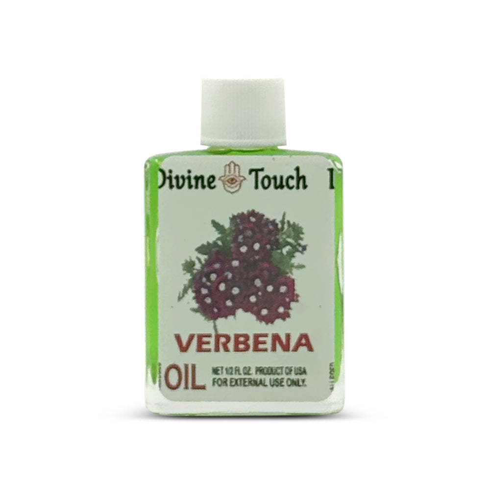 Vervain / Verbena