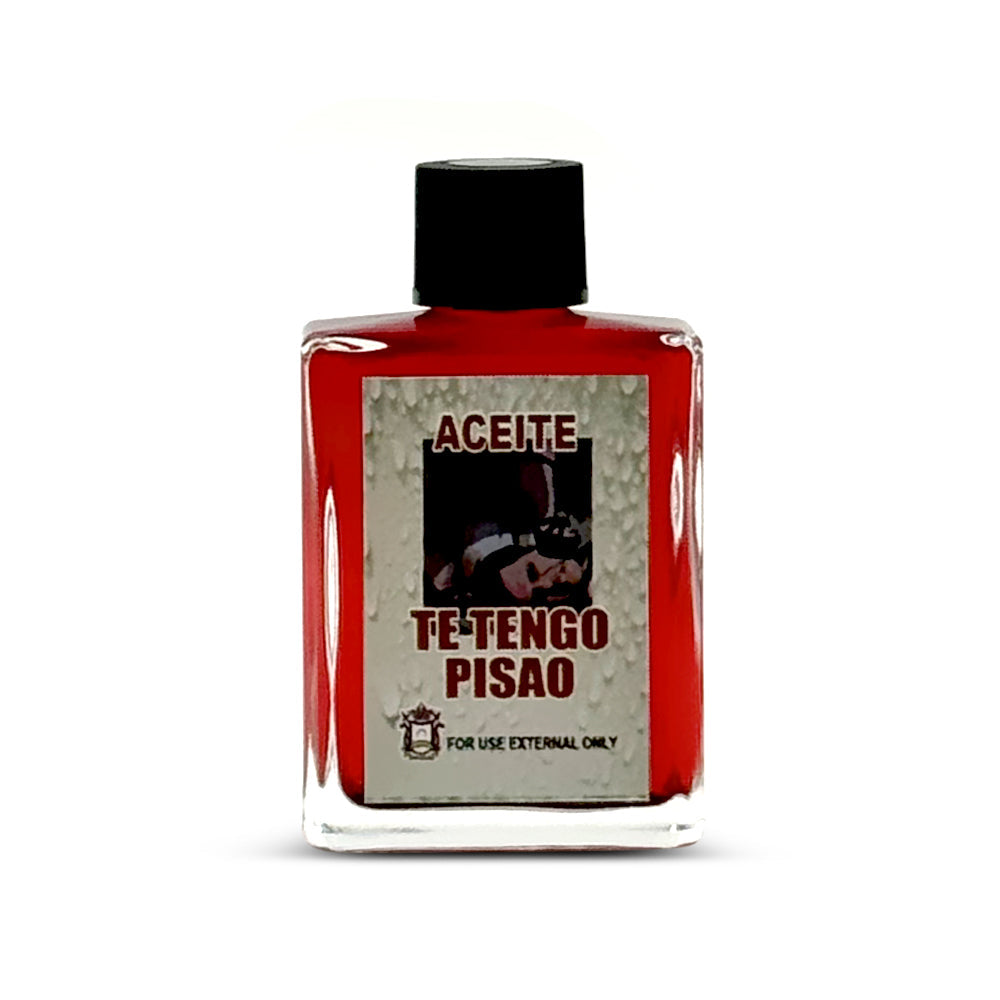 I Have You / Te Tengo Pisao