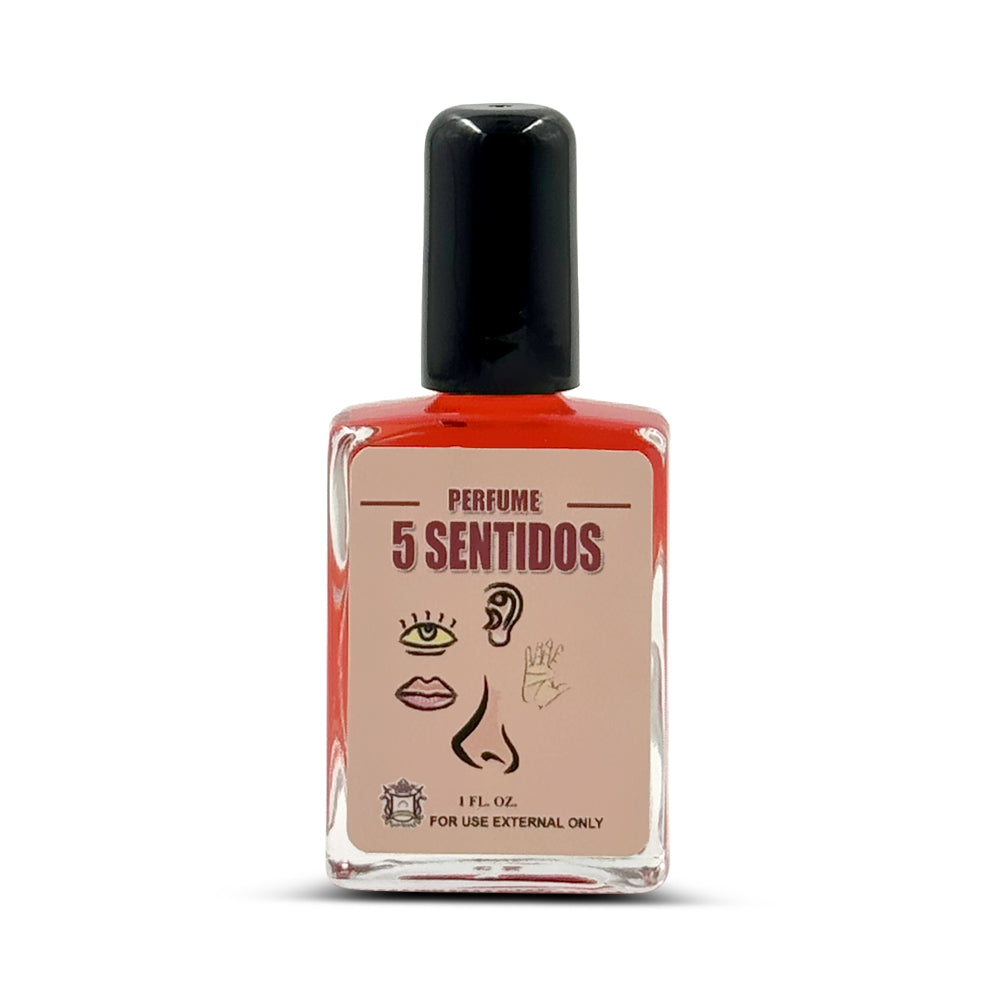 5 Senses / 5 Sentidos