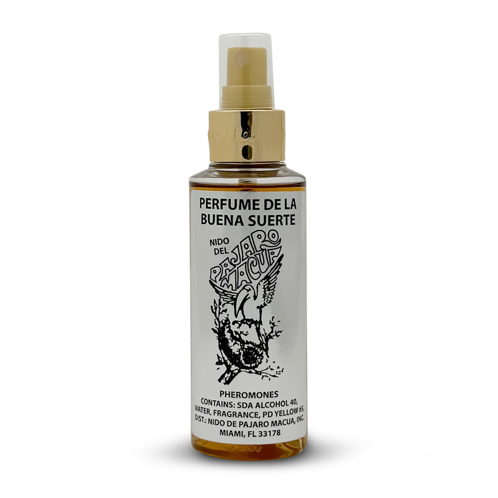 Macaw Bird / Pajaro Macua Splash