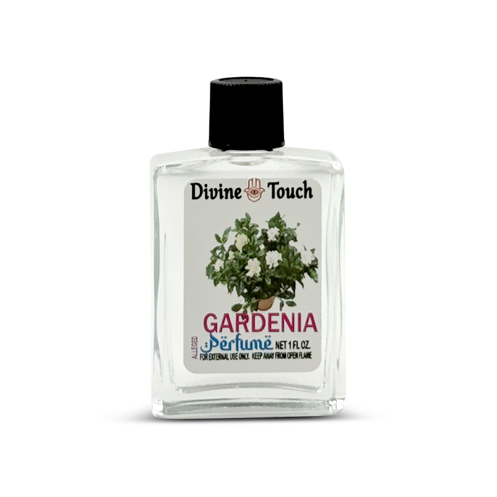 Gardenia / Gardenia