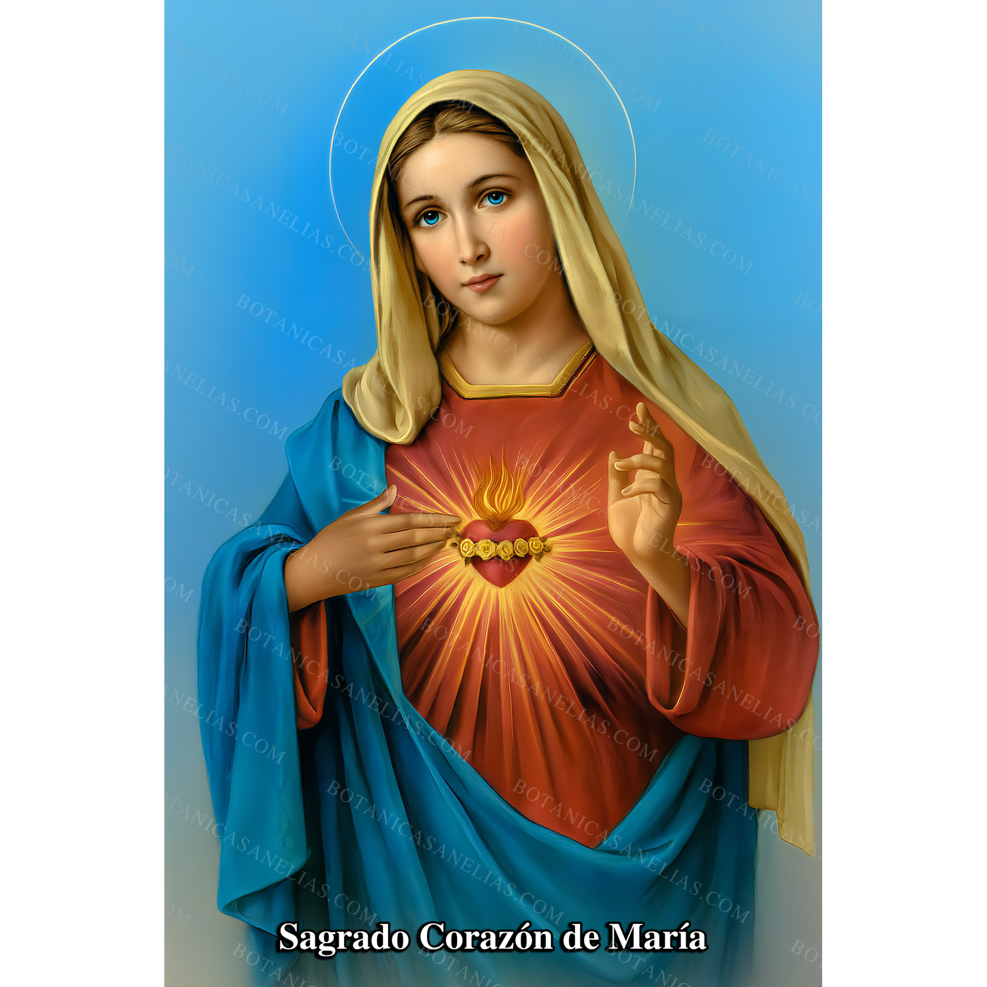 Sacred Heart of Mary Prayer Card
