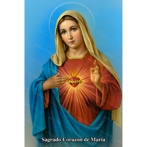 Sacred Heart of Mary Prayer Card