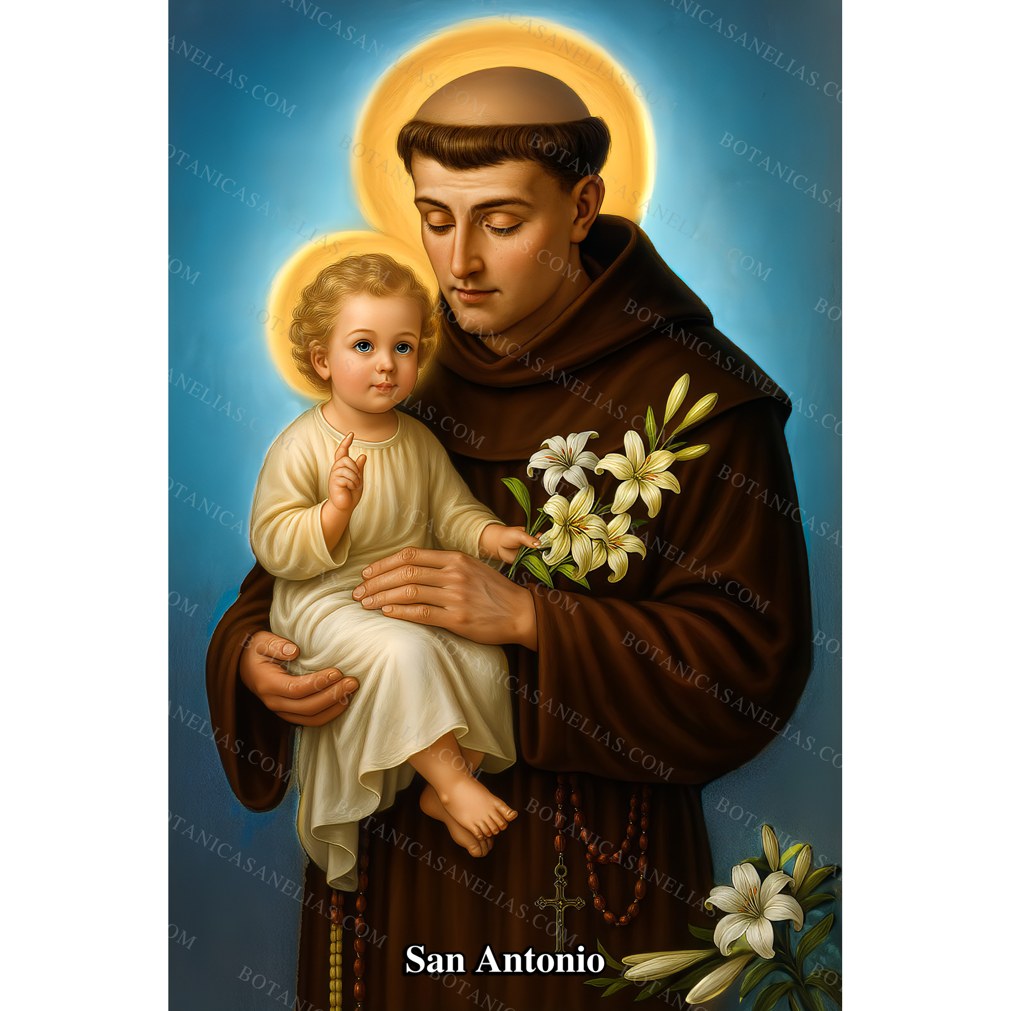 Saint Anthony Prayer Card