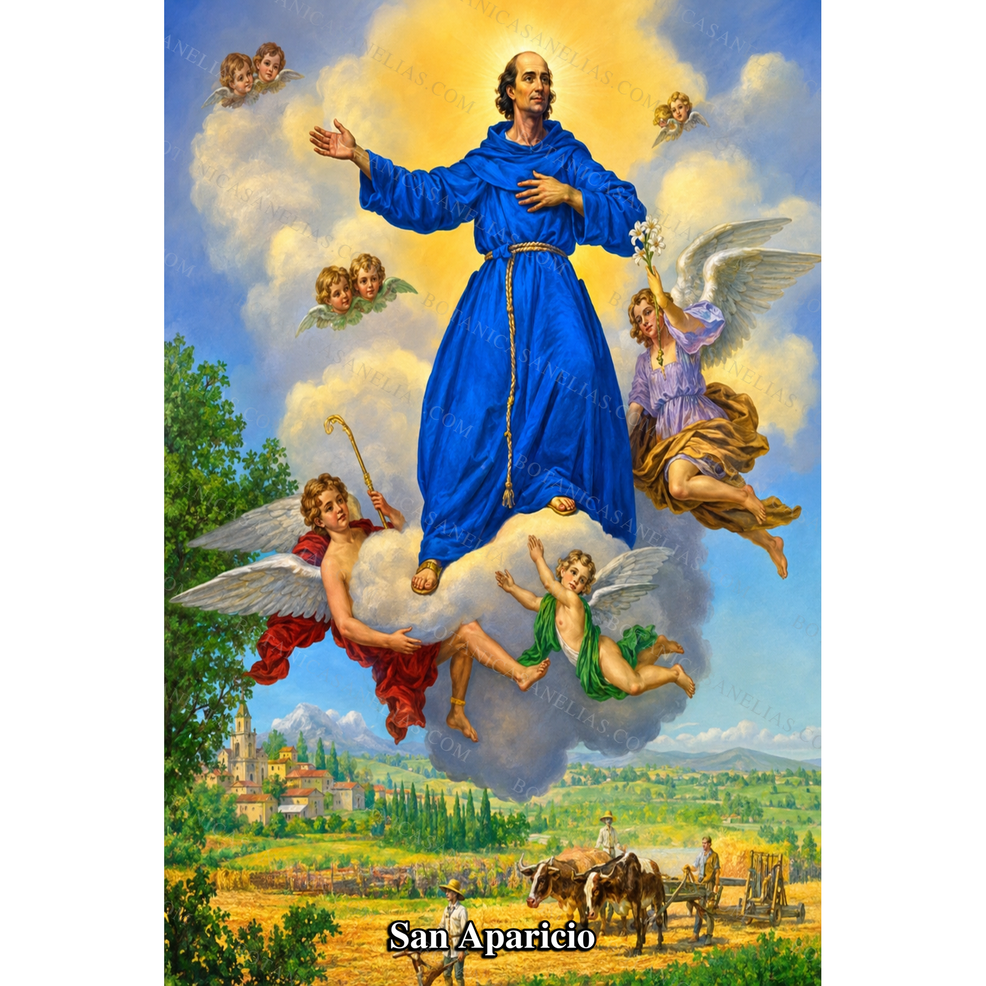 Saint Aparicio Prayer Card