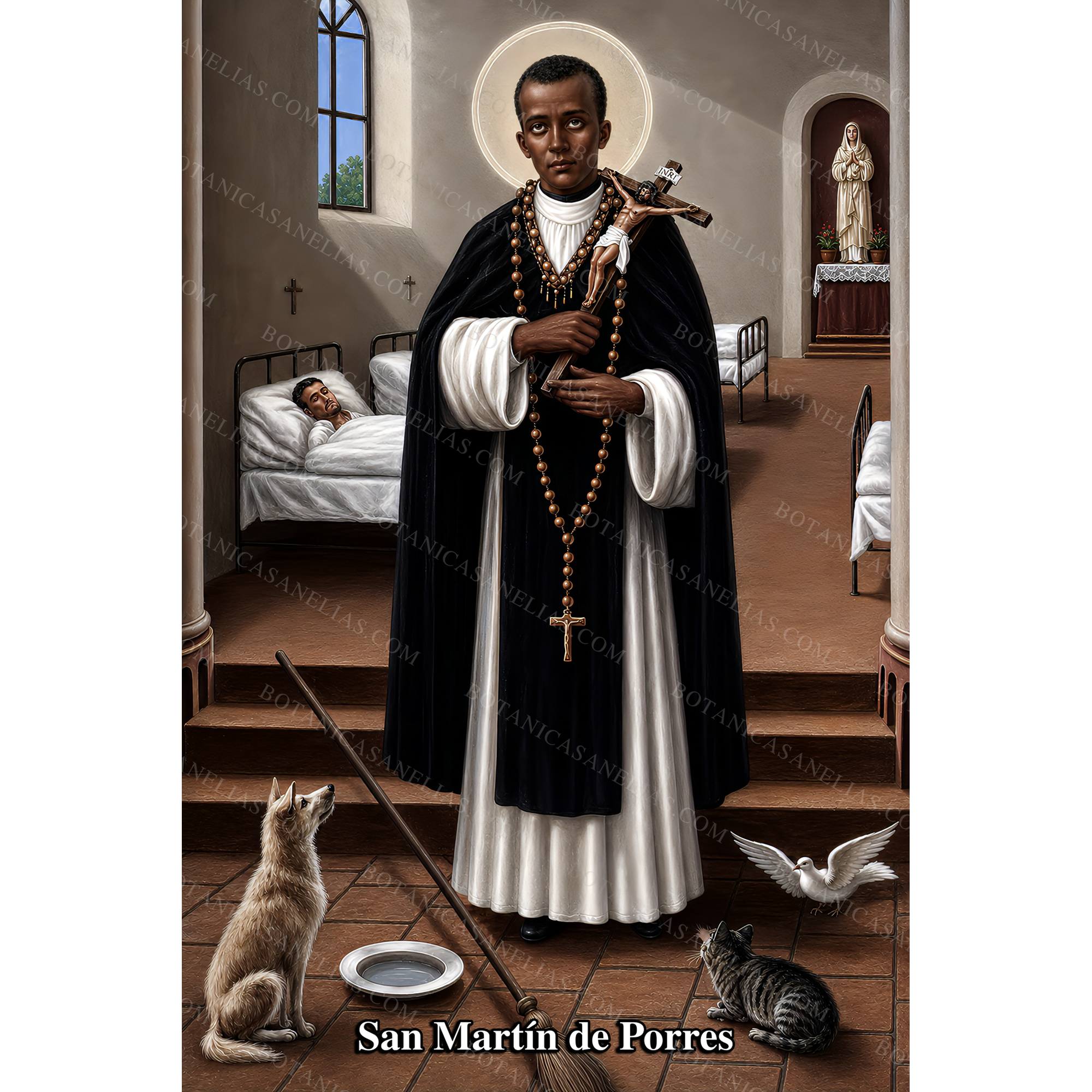 Saint Martin de Porres Prayer Card