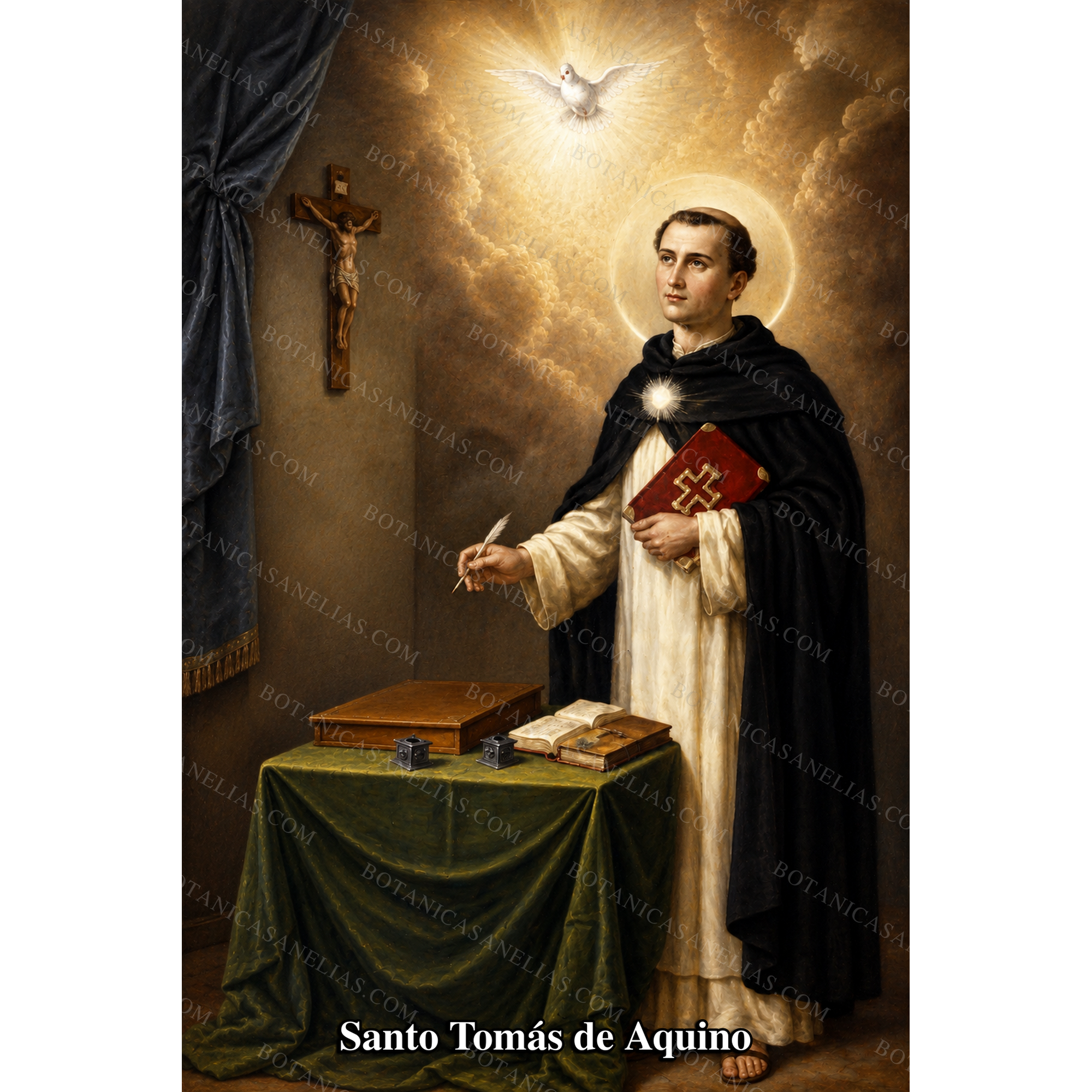 Saint Thomas Aquinas Prayer Card