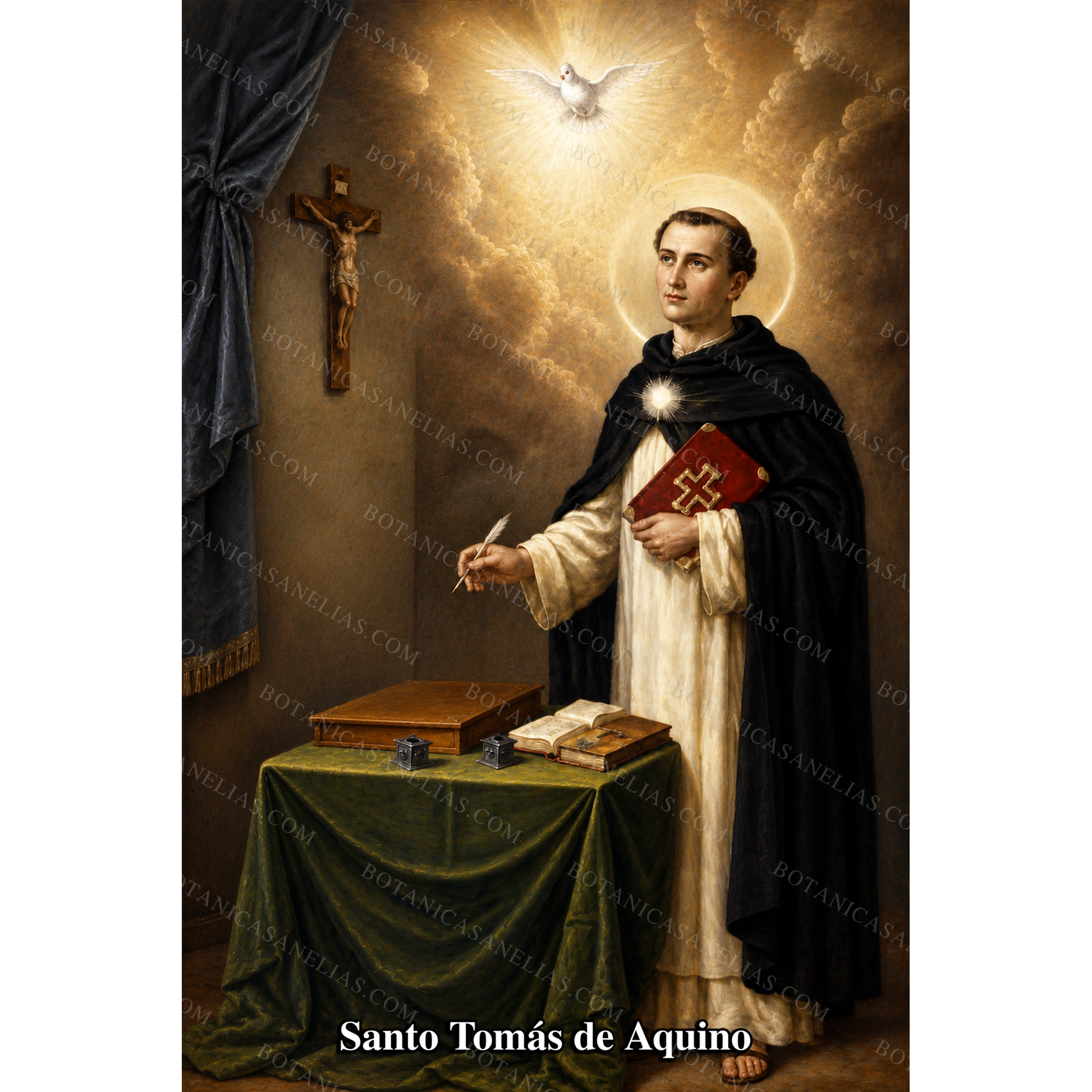 Saint Thomas Aquinas Prayer Card