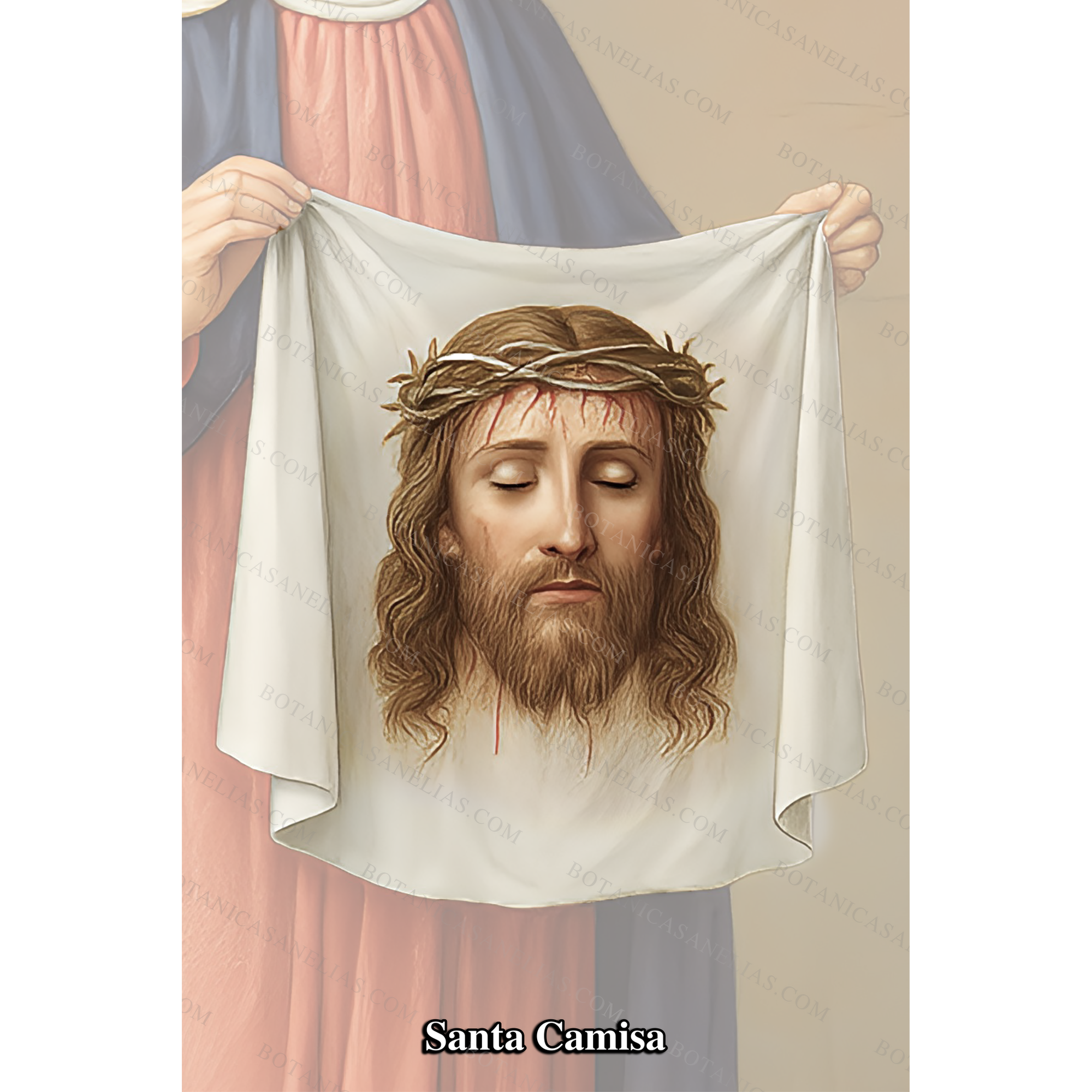 The Holy Shirt Prayer Card