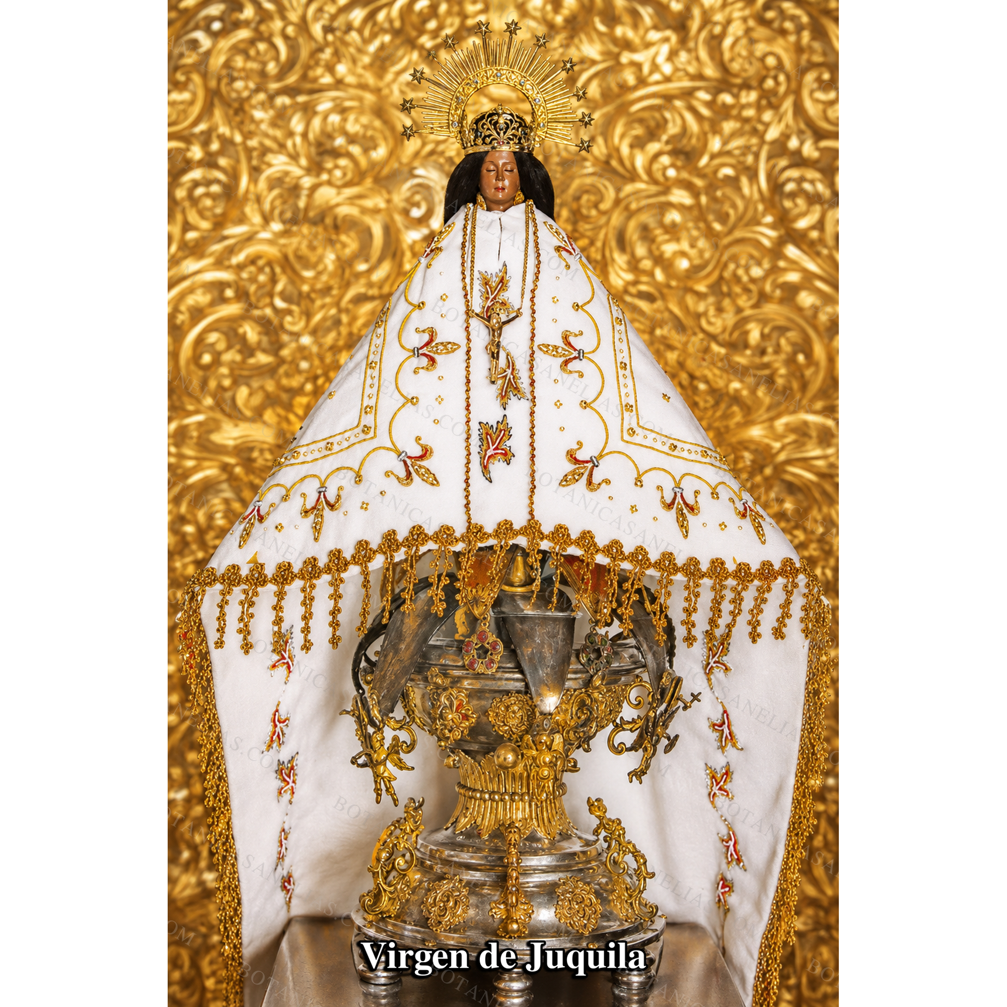 Our Lady of Juquila Prayer Card