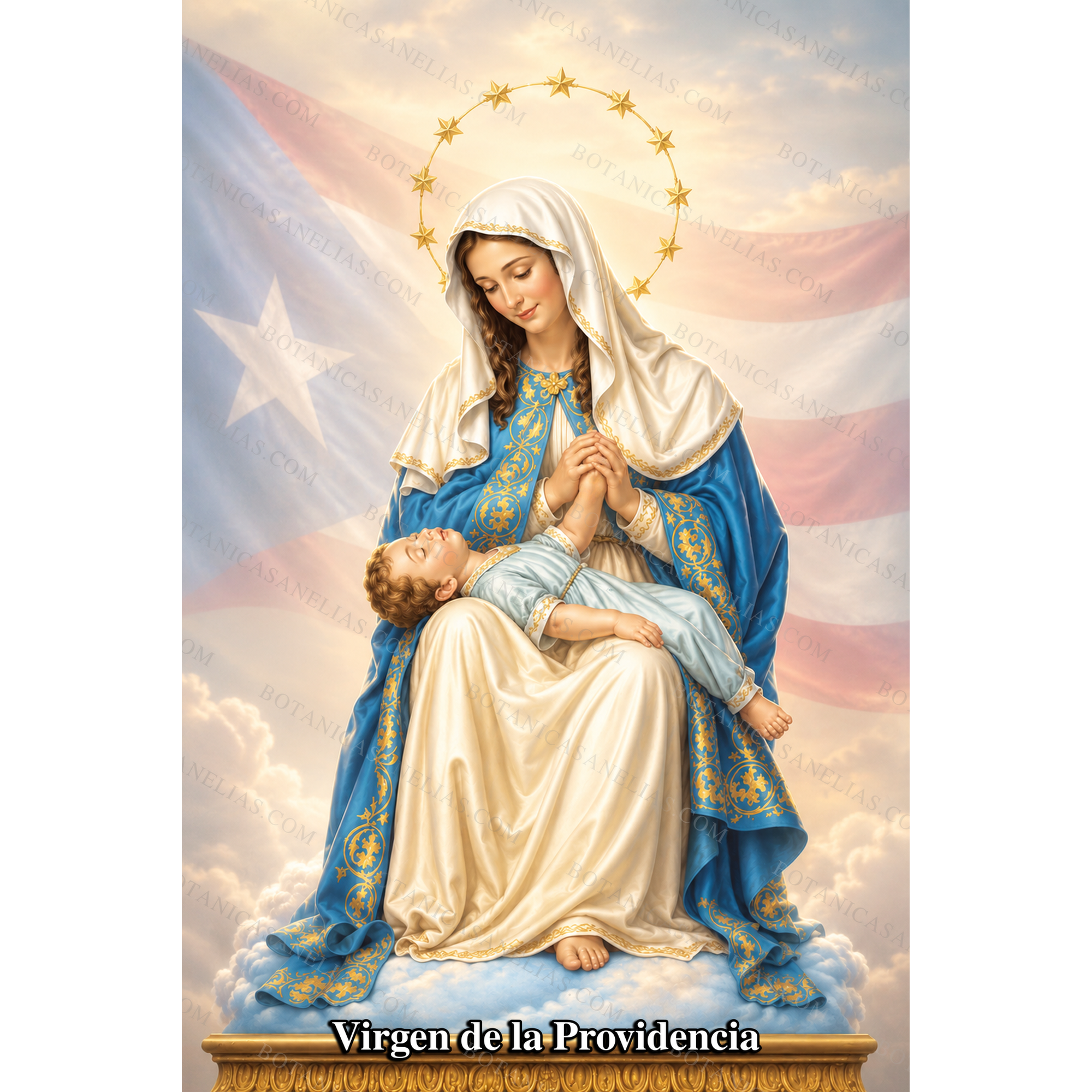 Our Lady of Divine Providence Prayer Card